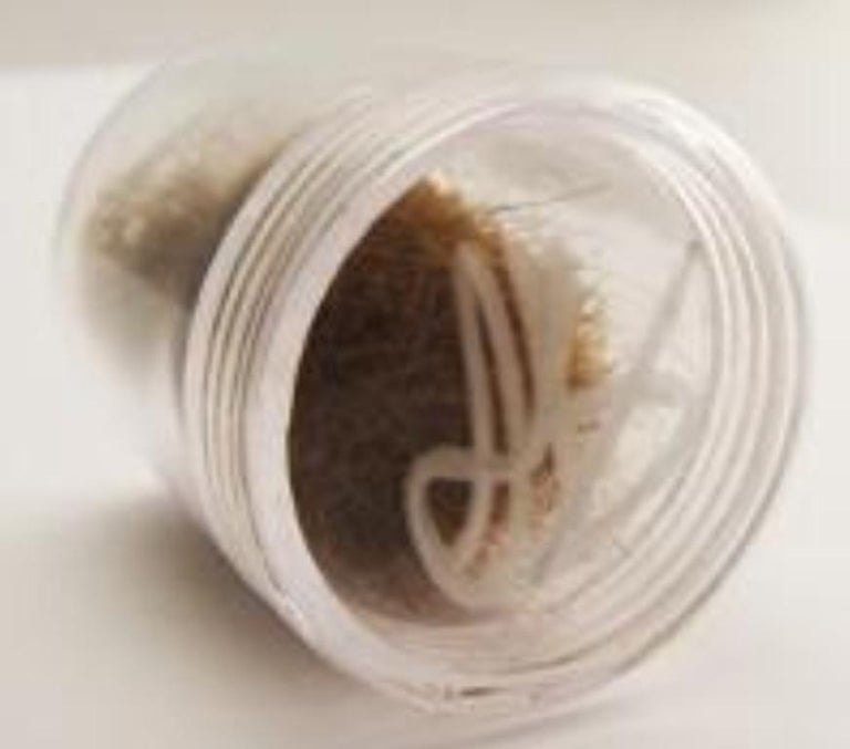 Hair associated with Bieber's 2011 charity auction.