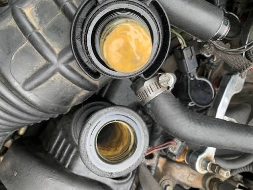 Milky Oil
