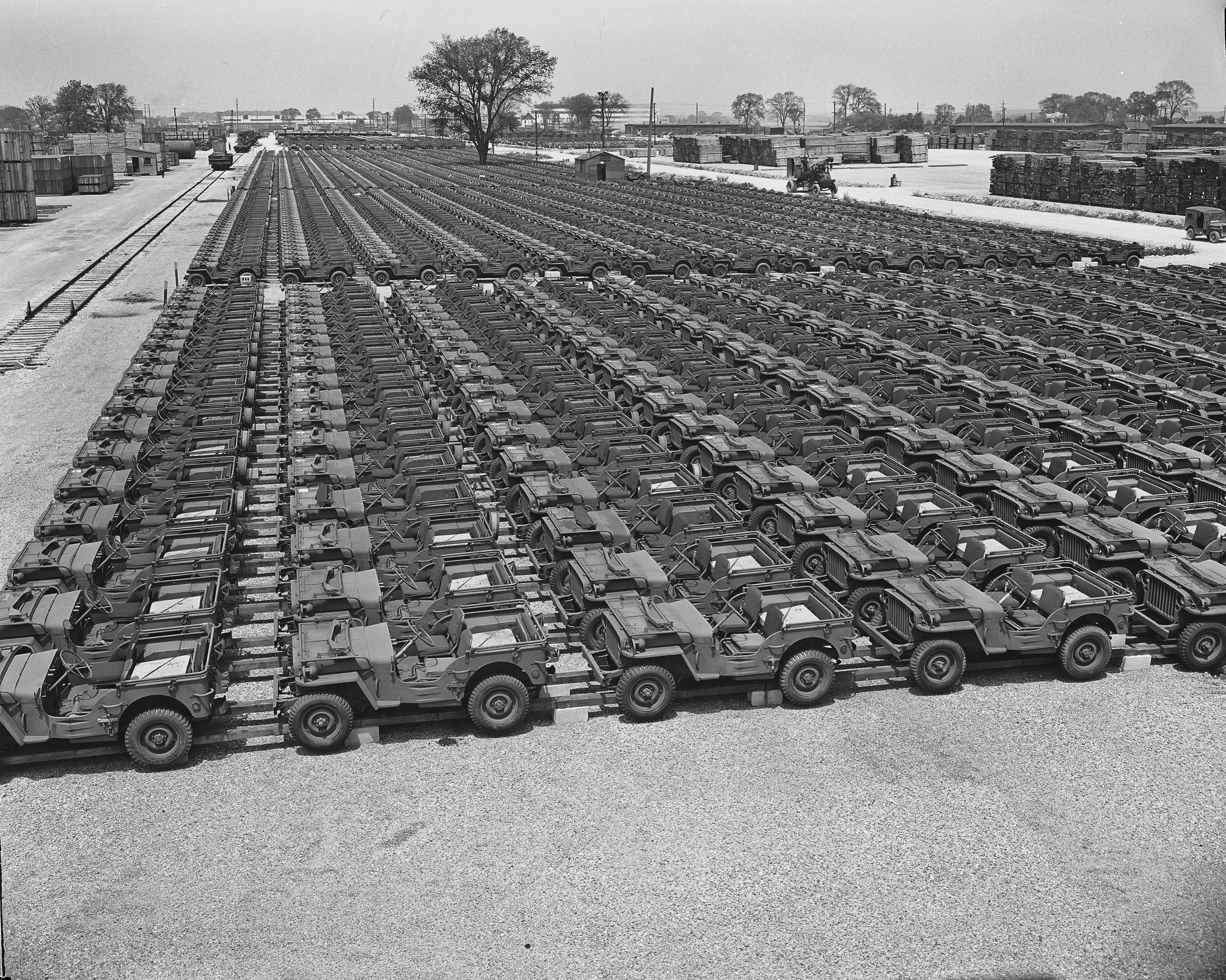 Thousands of surplus Jeeps staged in open fields for postwar civilian sale