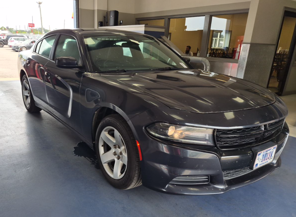 Former government Dodge Charger photographed at a public vehicle auction