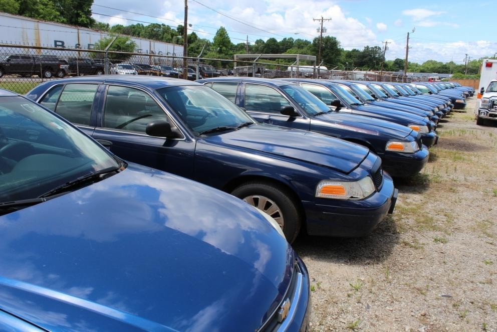 Retired fleet sedans lined up at the South Carolina surplus vehicle lot