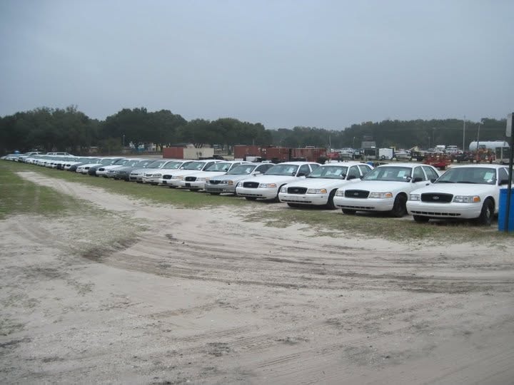 Rows of Crown Victoria fleet vehicles at Tampa Machinery Works