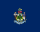 Maine state flag