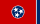 Tennessee state flag